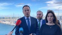 Windfall tax will not curb investment in renewable energies — Varadkar