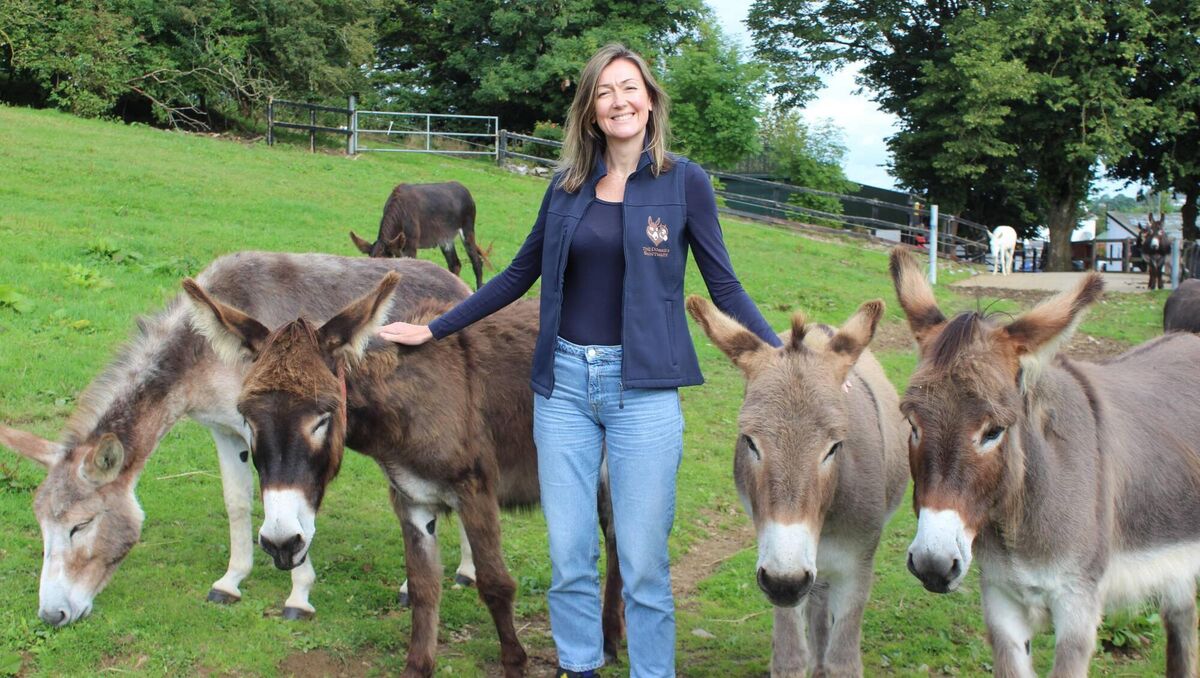 The Donkey Sanctuary Ireland’s country manager, Laura Foster. The Donkey Sanctuary Ireland’s country manager, Laura Foster.
