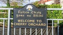 Government sets up group to ‘intensify’ community support for Cherry Orchard