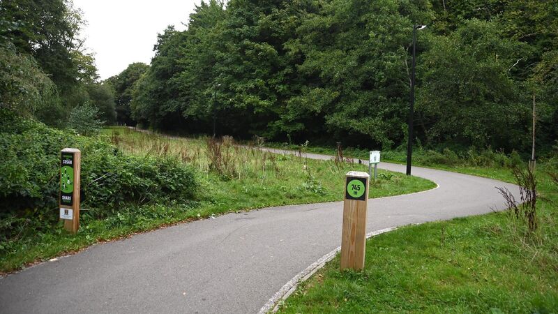 ‘Citizen voices were heard’: NTA scraps proposal for bridge over popular Cork woods ‘Citizen voices were heard’: NTA scraps proposal for bridge over popular Cork woods