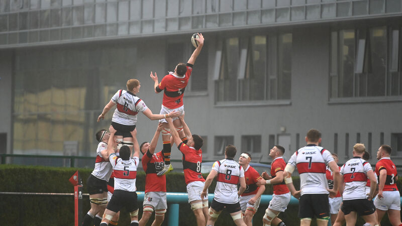 AIL: UCC beaten by Old Wesley in annual colours clash at the Mardyke