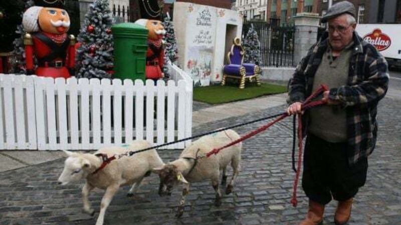 Live animal crib makes return at new location in Dublin