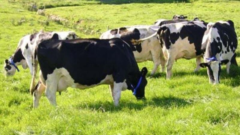 ‘Unacceptable cultural barriers’ preventing women taking over family farms ‘Unacceptable cultural barriers’ preventing women taking over family farms