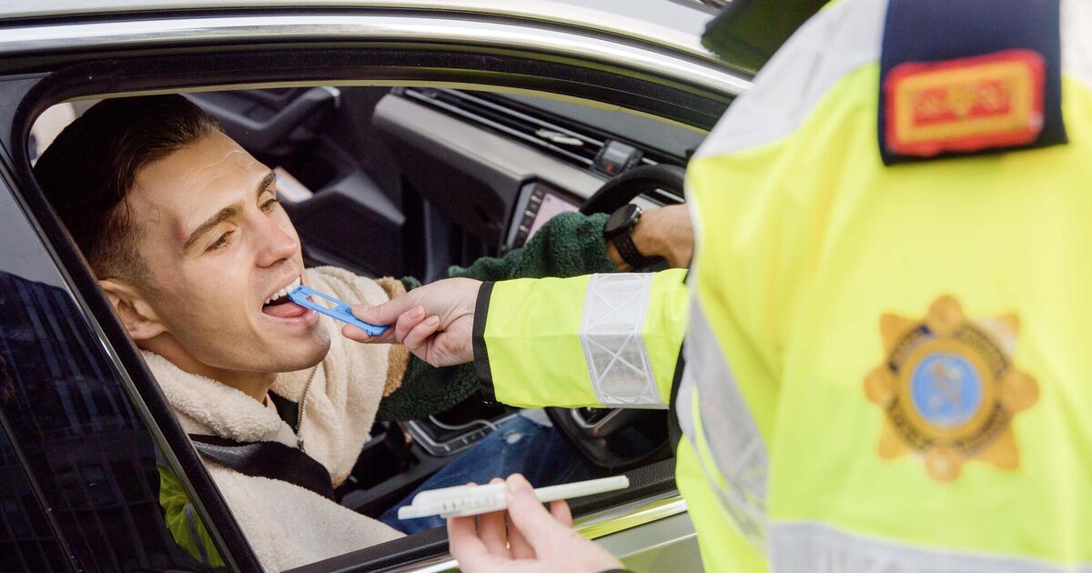 Six-week road safety campaign launched in Cork today ahead of Christmas - Vimarsana News