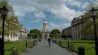 Trinity College considers what to do with 400-year-old skulls stolen from island