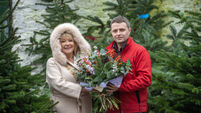 PICS: Cork city's Christmas tree farm growing in popularity 