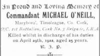 Revisiting the Bandon Valley Massacre