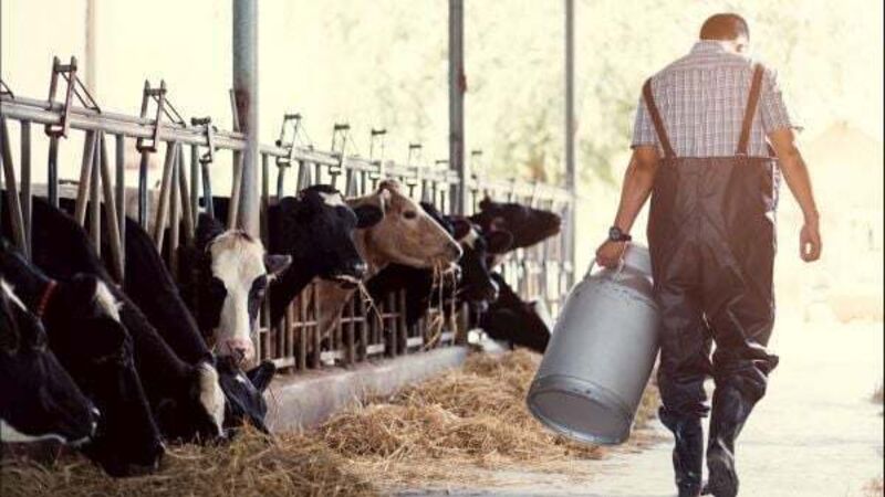 Gardaí advise farmers 'not to take law into their own hands' over gang issues