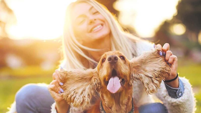 Owners have to take the lead and be responsible for dogs Owners have to take the lead and be responsible for dogs