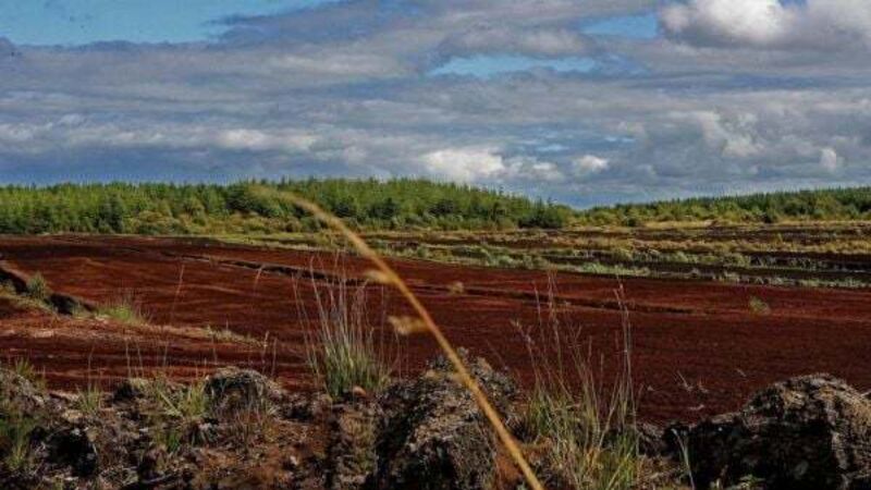 Court refuses firm's attempt to lift injunction on peat extraction Court refuses firm's attempt to lift injunction on peat extraction