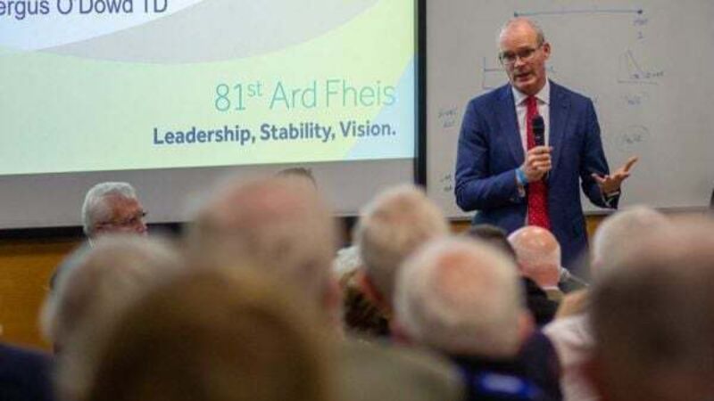 Russian invasion of Ukraine and veto undermines UN Security Council: Coveney