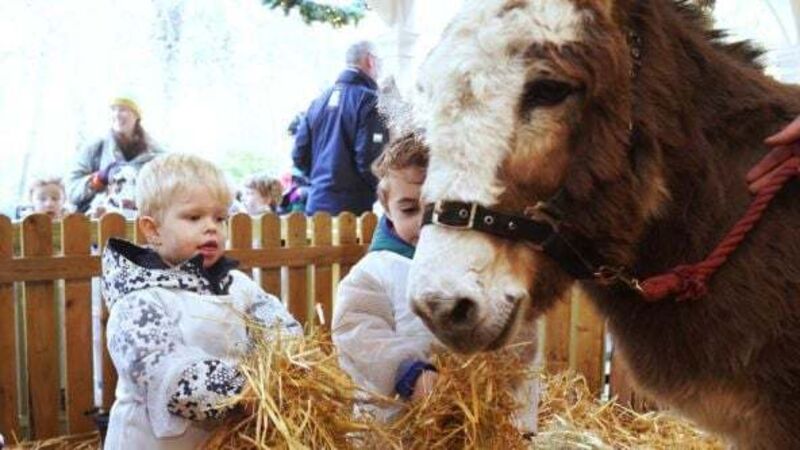 Live animal crib opens in Dublin’s Stephen’s Green park Live animal crib opens in Dublin’s Stephen’s Green park