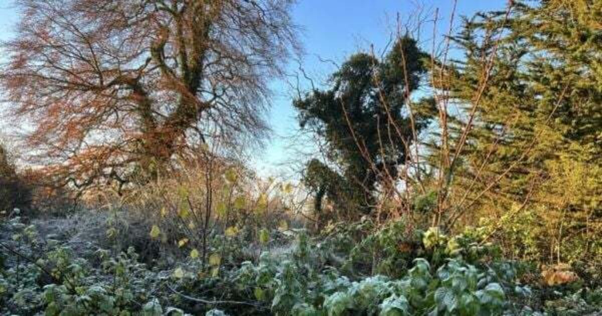 Temperatures to reach -6 overnight with yellow warnings still in place - Vimarsana News