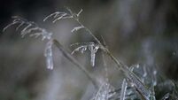 Emergency group meet to discuss current cold snap