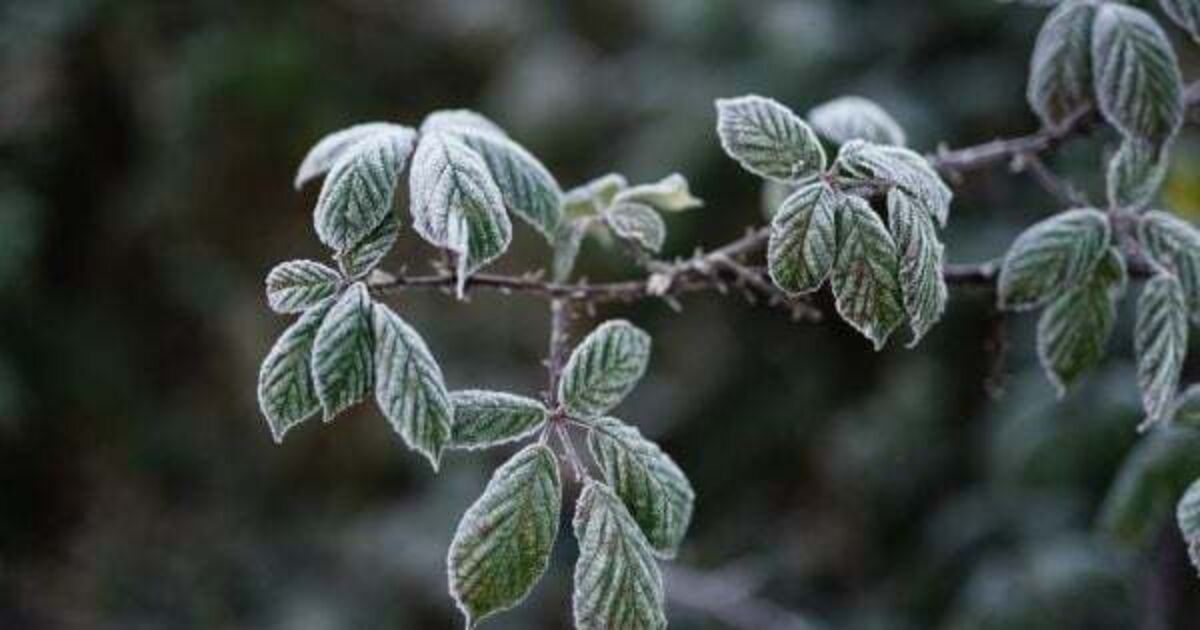 Status orange ice warning in place for entire country - Vimarsana News