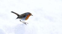 Wintry showers will continue late into the week, says Met Éireann