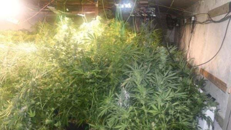 Man arrested in Mayo over major drugs seizure worth €227,000 Man arrested in Mayo over major drugs seizure worth €227,000