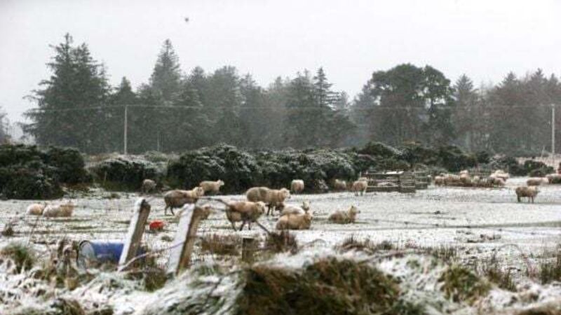 Ice warning in place across Ireland after coldest day in 12 years