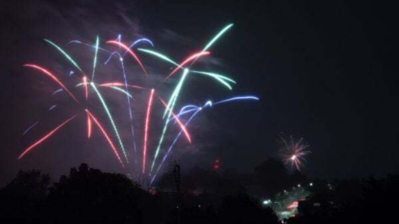 Dublin councillors propose restricting fireworks to protect wildlife
