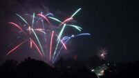 Dublin councillors propose restricting fireworks to protect wildlife