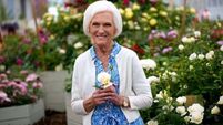 The way Mary Berry transports her Christmas turkey is genius