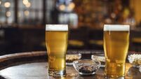 Glasses of Beer and Peanuts on a Wooden Table at a Pub, a Close Up