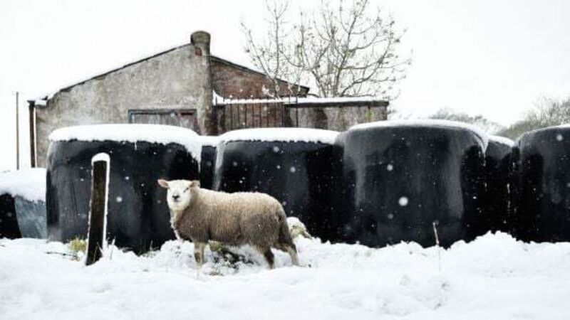 Sixteen counties placed under orange weather warning