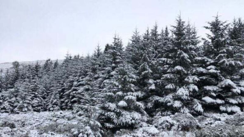 Cold weather continues into the weekend as Met Éireann issues yellow warning
