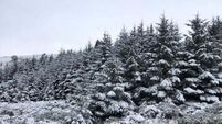 Cold weather continues into the weekend as Met Éireann issues yellow warning