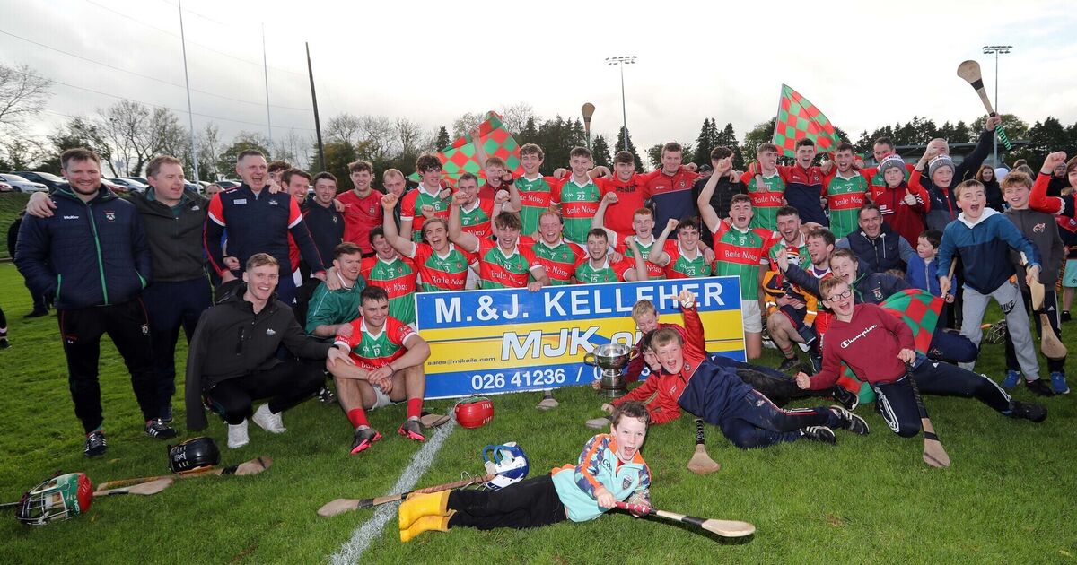 GAA season in review Kilmurry and Ballinora landed the big prizes in Muskerry