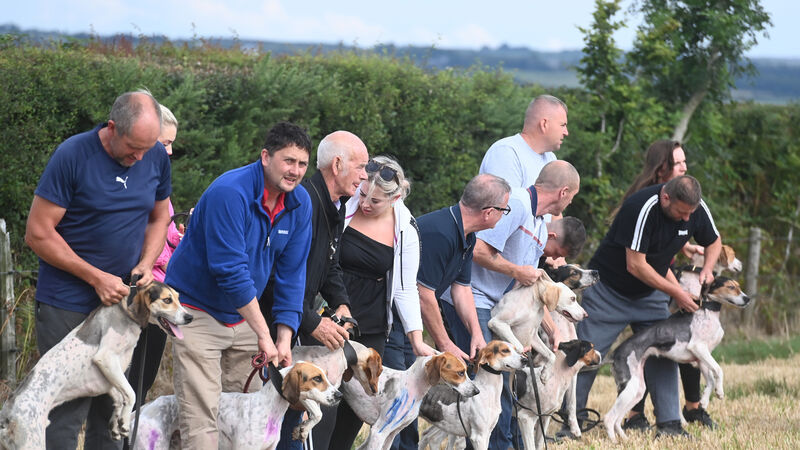 Draghunting season in review: Sport retains its popularity in Cork