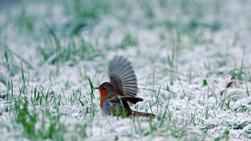 Cork weather: Here's what conditions could be like on Christmas Eve and Christmas Day Cork weather: Here's what conditions could be like on Christmas Eve and Christmas Day