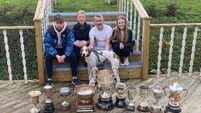 Draghunting season in review: Authority delivered for Northern Hunt in 2022