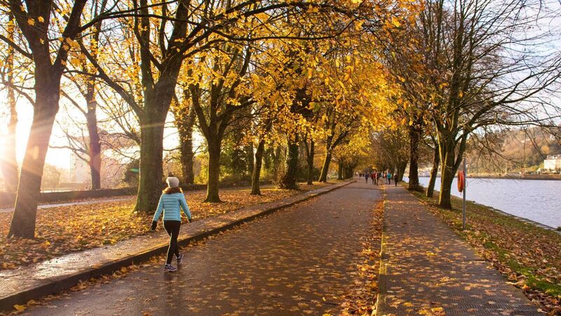 12 post-festive walks to try across Cork 12 post-festive walks to try across Cork