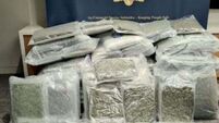 Two men charged following €2.4m cannabis seizure in Dublin