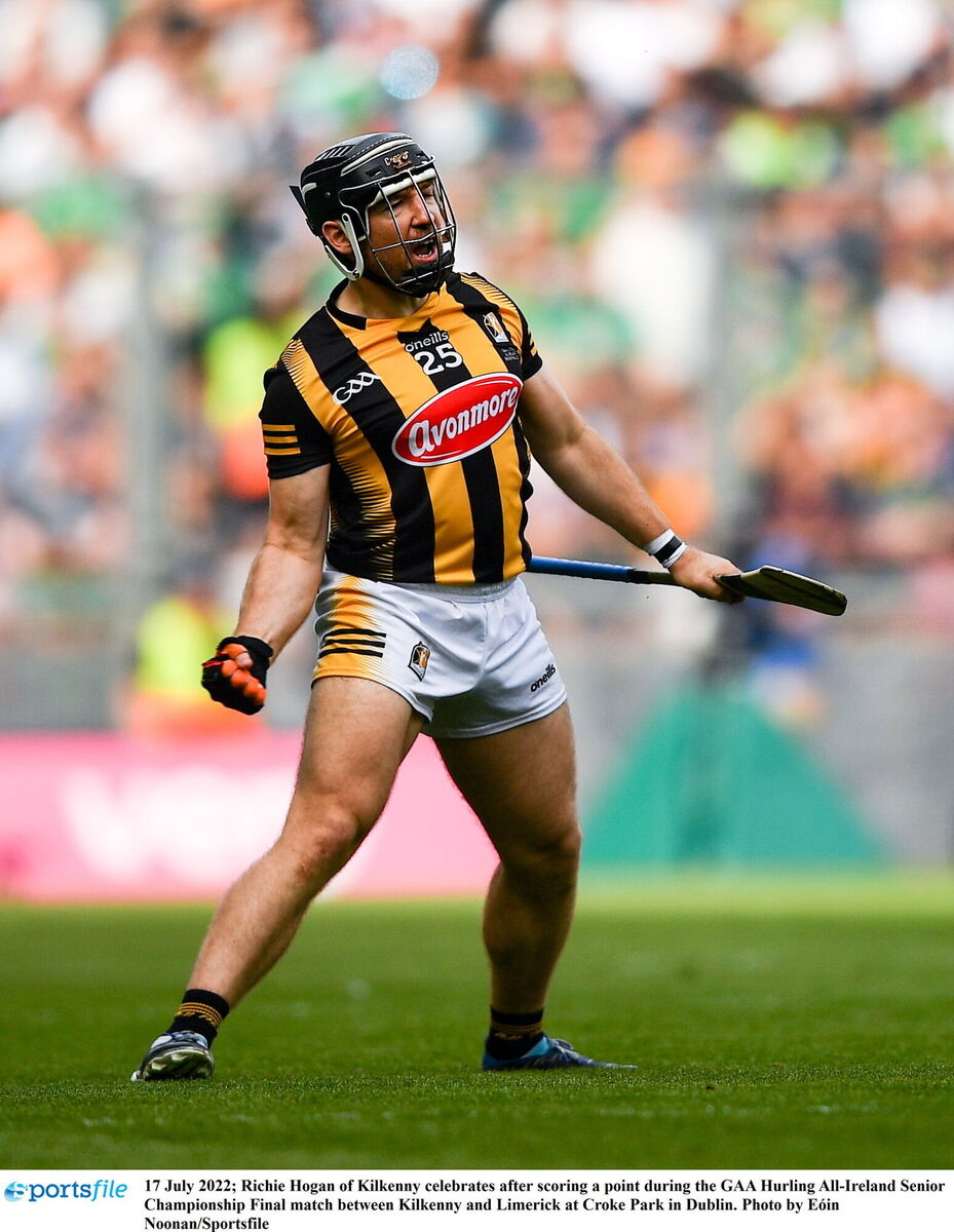 Richie Hogan of Kilkenny celebrates after scoring a point against Limerick. Picture: Eóin Noonan/Sportsfile