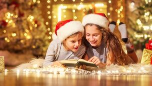 <p>
                <span class="contextmenu emphasis CaptionCredit">Katriona</span> brings a box of Christmas themed books down from the attic with the decorations - they make for some lovely, albeit teary reading over the festivities.	<span class="contextmenu emphasis CaptionCredit">Pictures: Stock</span>
            </p>