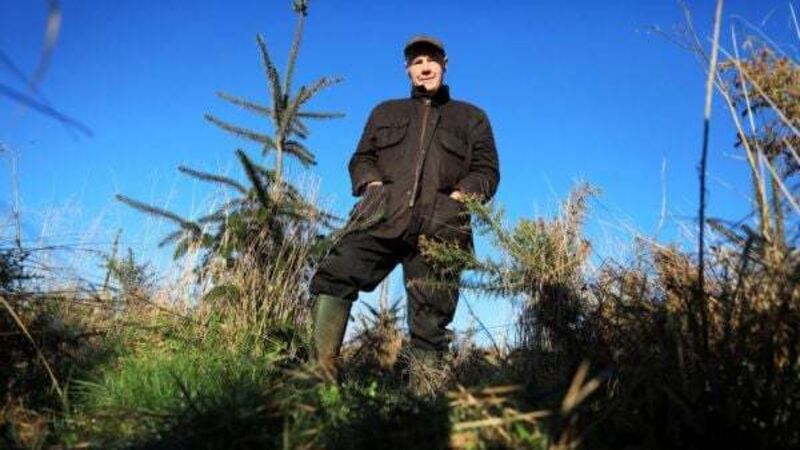 Pensioner hailed as eco-champion after planting 20,000 trees on disused land