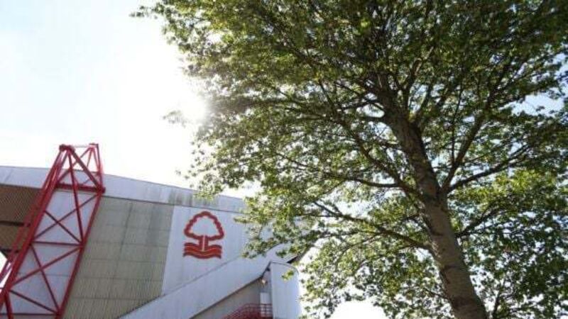 Forest investigating reports of alleged homophobic chanting during Chelsea match Forest investigating reports of alleged homophobic chanting during Chelsea match