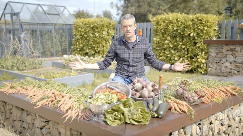 GIY Founder: In a world gone mad the veg patch is always there...