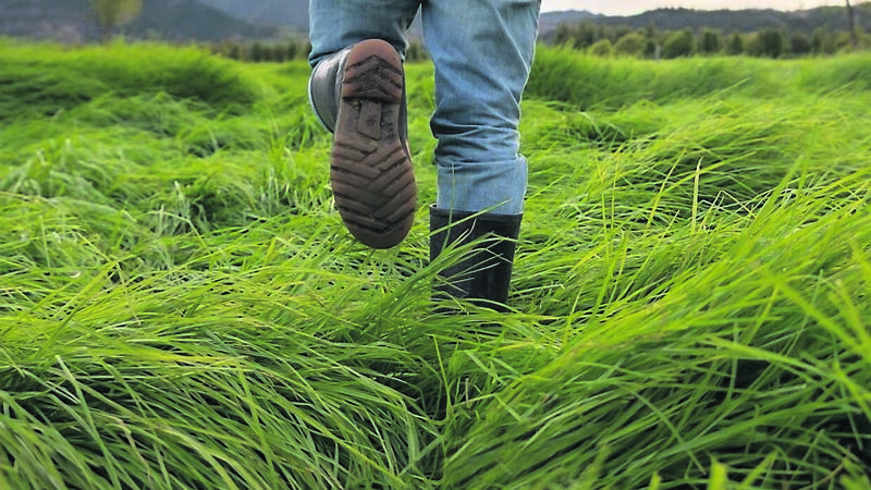 John Arnold: Don’t mock, but I’ve begun the 100-Day exercise challenge...