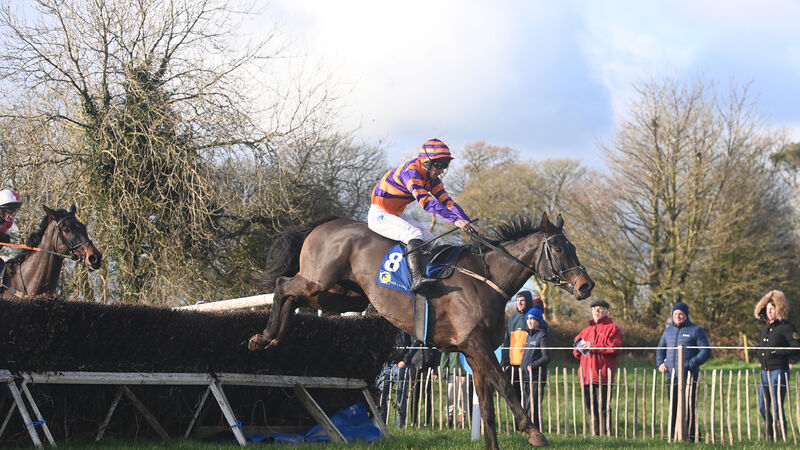 Rocky’s Howya is one to follow on Sunday at Muskerry Point to Point