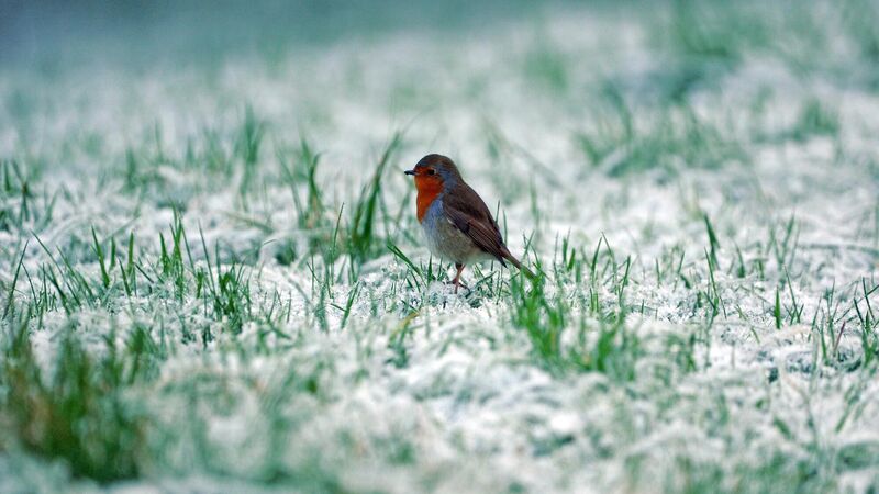 Cork records coldest December in 12 years Cork records coldest December in 12 years