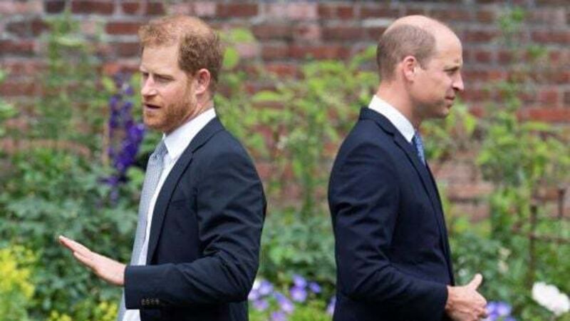 Prince Harry saw ‘the red mist’ in his brother during alleged physical confrontation Prince Harry saw ‘the red mist’ in his brother during alleged physical confrontation
