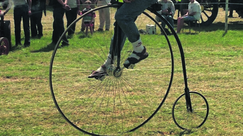 Steeped in my family lore, my gran’s recipe for fab Bean Pie