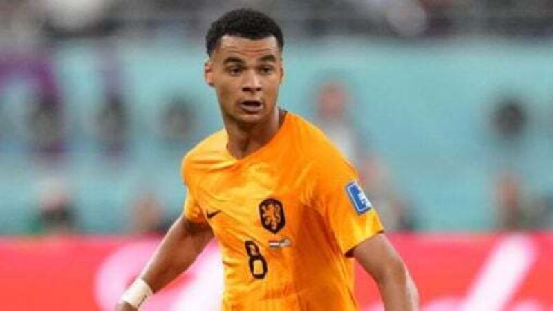 Cody Gakpo will handle pressure at Liverpool – Virgil van Dijk