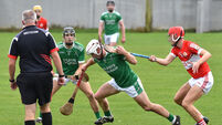 Three Cork schools chase glory as Dr Harty Cup resumes