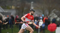 Midleton CBS strike late to snatch Dr Harty Cup glory and a semi-final place