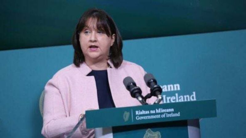 Gardaí urge people to come forward after cow dung thrown at politicians