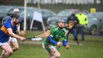 Harty Cup heroes: St Colman's and Thurles showcased the best of schools hurling